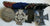 Medal Bar